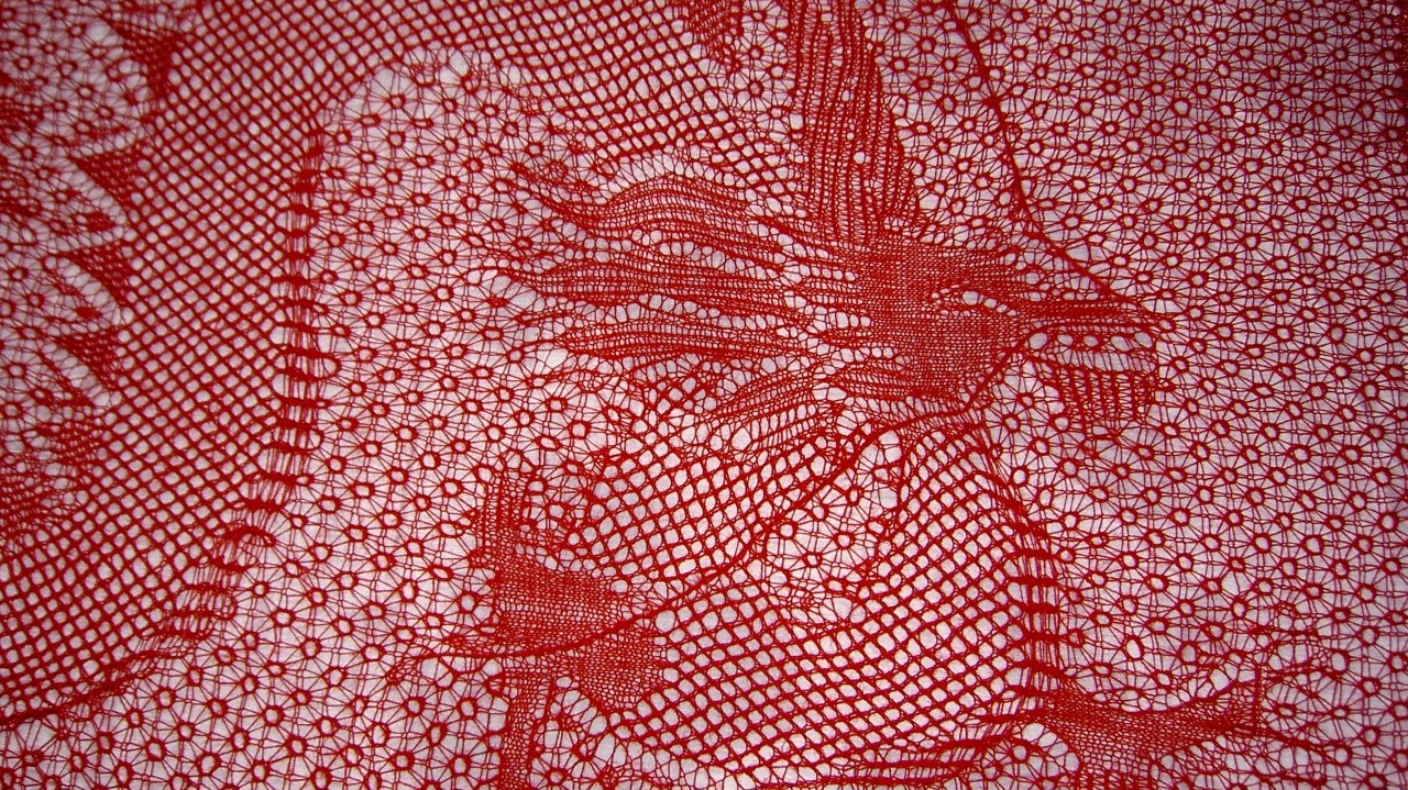Photograph of a woven piece made from red thread, forming an image of a dragon using different stitching techniques